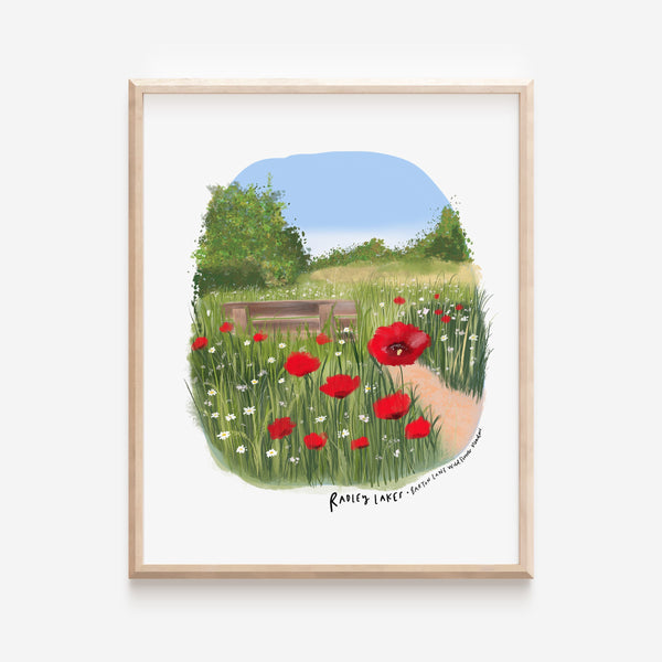 Radley Lakes Barton fields poppies