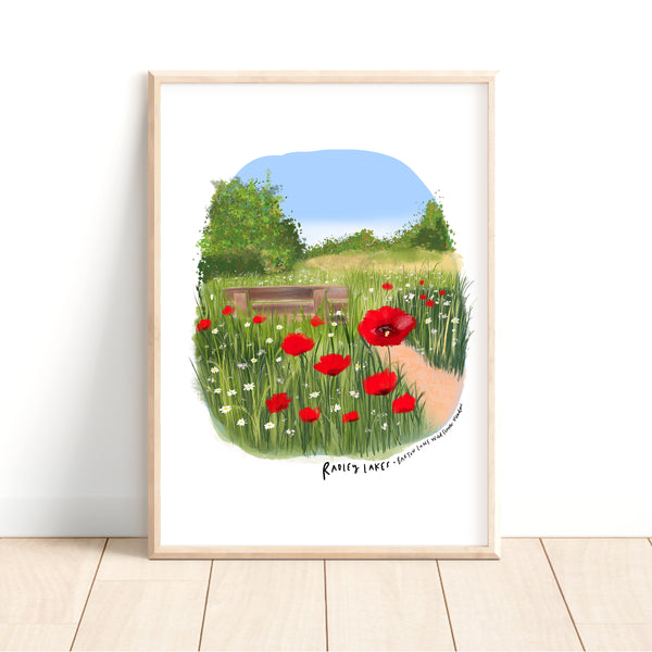 Radley Lakes Barton fields poppies