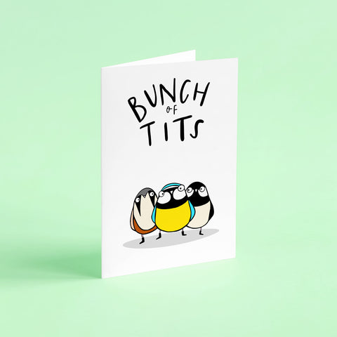 Bunch of tits garden birds card